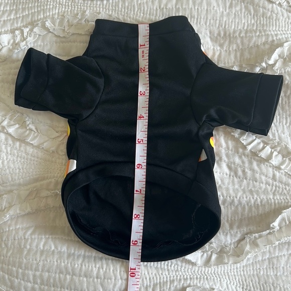 Halloween Outfit for Small Dog - Picture 3 of 4